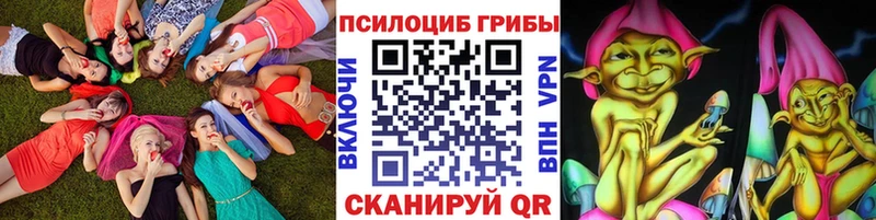 shop наркотические препараты  Чаплыгин  Галлюциногенные грибы мицелий 